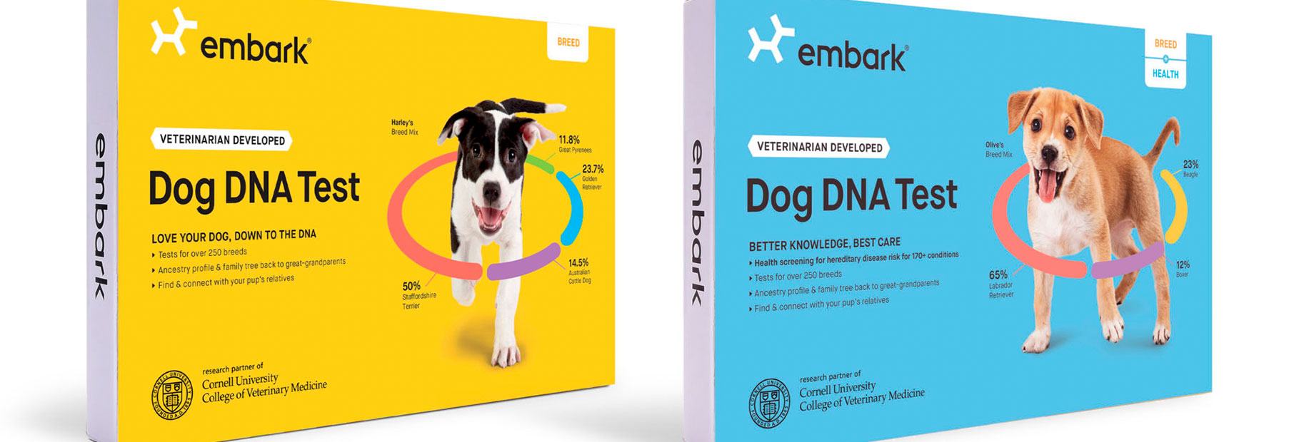 embark-slide.jpg