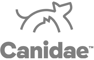 Motiv_website_Client_Logo_Carousel_111025-18